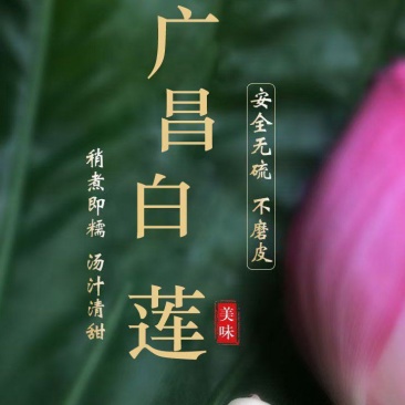 广昌通心白莲，柴火烘干
