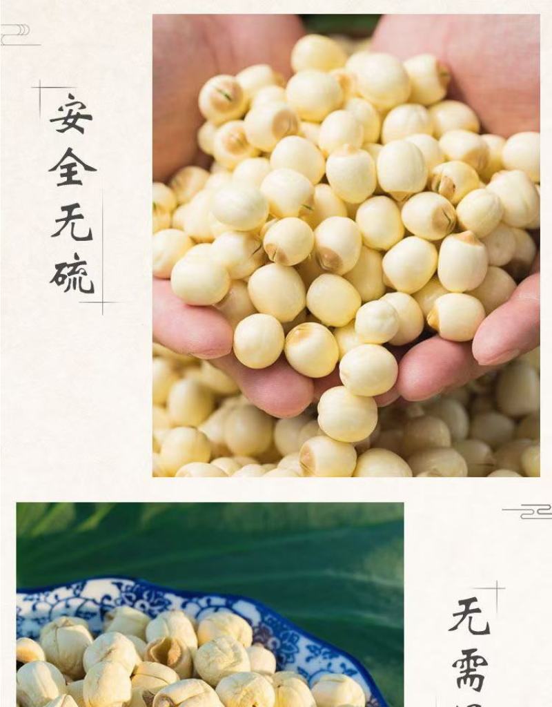 广昌通心白莲，柴火烘干