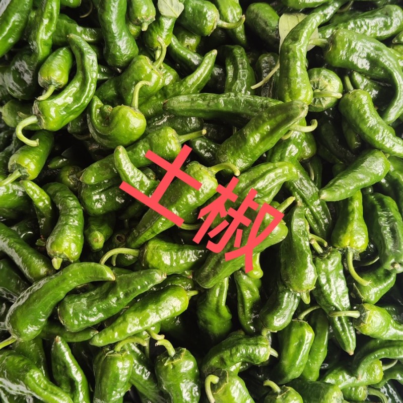 余干椒土椒农九余干椒