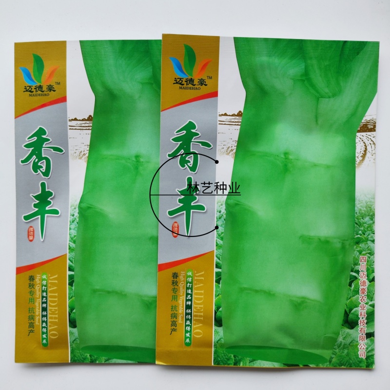 香丰莴苣种子抗病高产香莴笋种籽四季蔬菜籽种子莴笋莴苣种籽