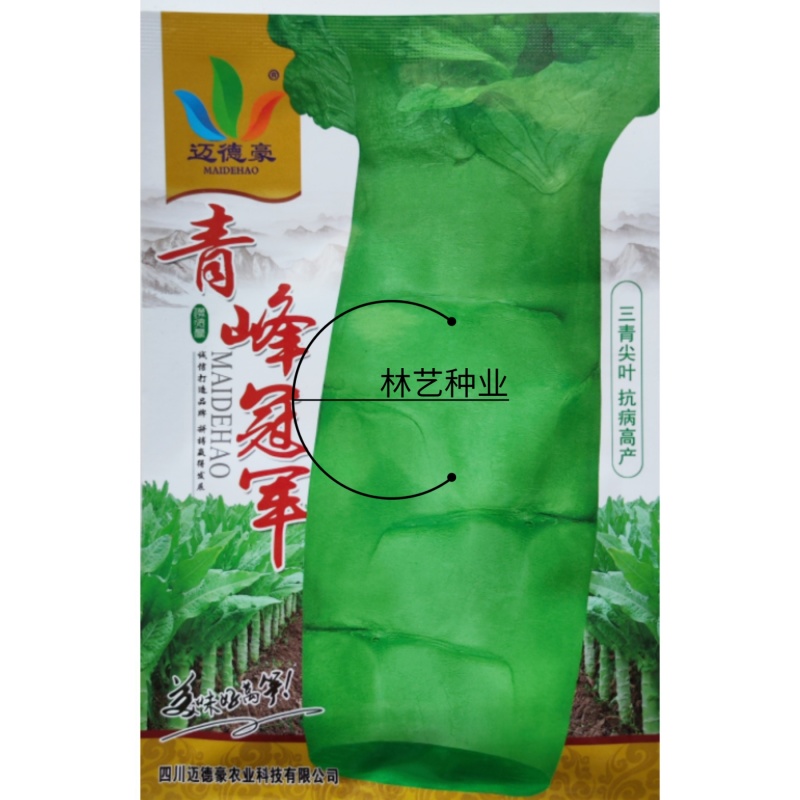 青峰冠军三青型尖叶莴笋种子春秋季抗病耐湿莴苣种子肉翠绿味