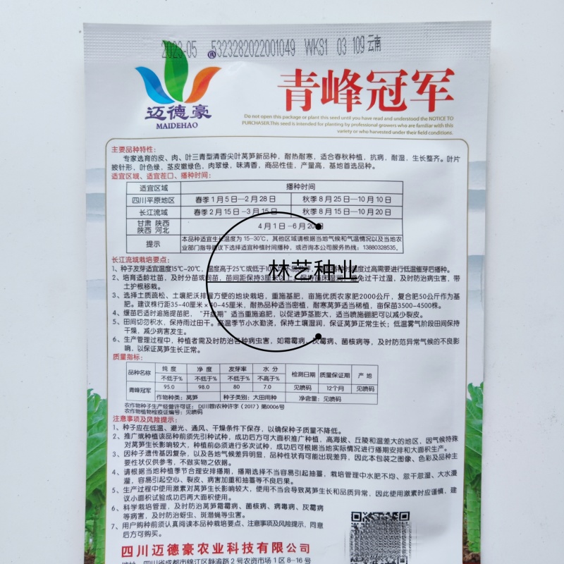 青峰冠军三青型尖叶莴笋种子春秋季抗病耐湿莴苣种子肉翠绿味