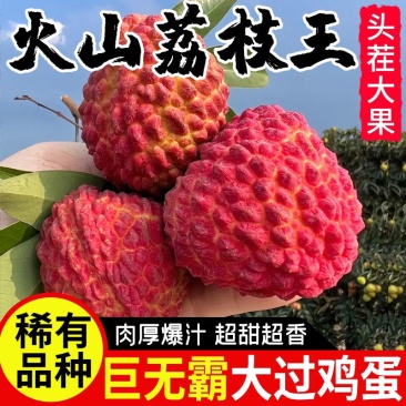 海南火山口荔枝王批发全国发货