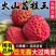海南火山口荔枝王批发全国发货