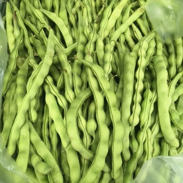 刚上市的青豆量大价优
