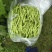 刚上市的青豆量大价优