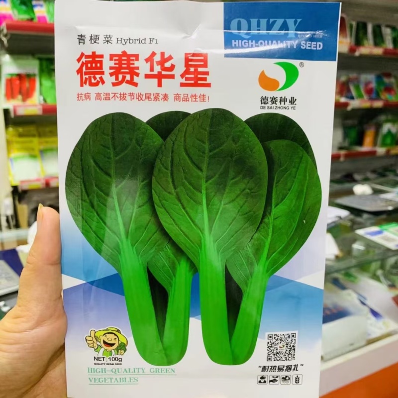 德高夏龙7号青梗菜七号种子耐热青梗菜耐热青菜抗病耐雨
