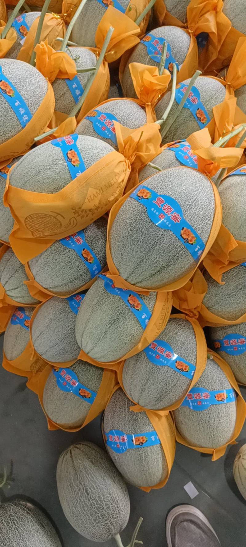 山东西州蜜25号小蜜25哈密瓜产地直发口味一级质量保障