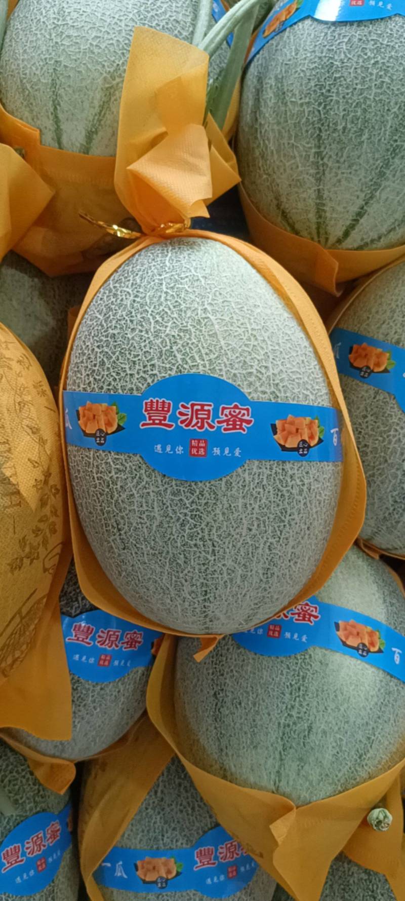 山东西州蜜25号小蜜25哈密瓜产地直发口味一级质量保障