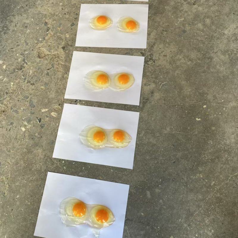 大鸡场每天鲜鸡蛋，鸡场发货37-50以上净重，欢迎订购