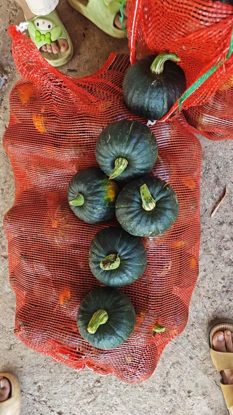 四川正宗贝贝南瓜，粉糯香甜，面粉级别，大量供应，货源充足