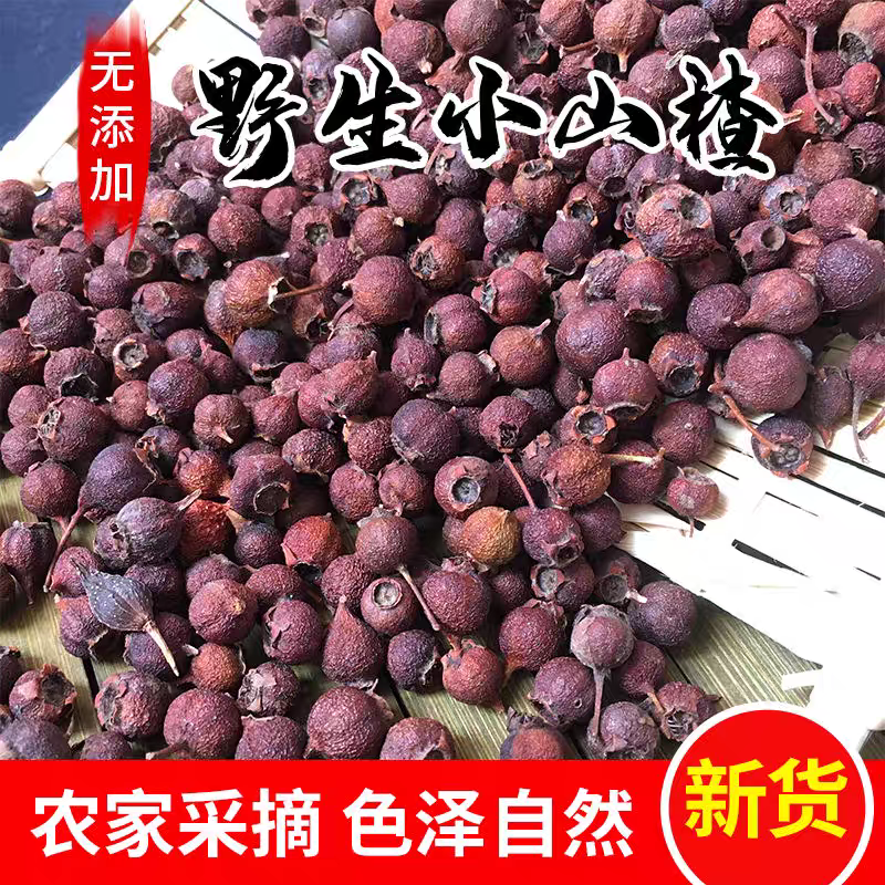 野山楂南山楂河南伏牛山小山楂铁山楂山里红