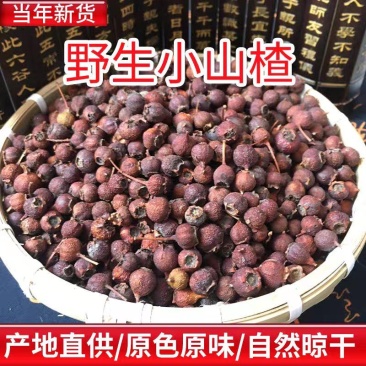野山楂南山楂河南伏牛山小山楂铁山楂山里红