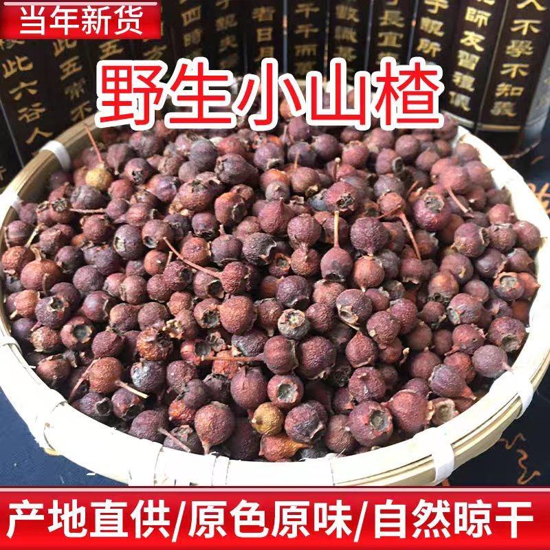野山楂南山楂河南伏牛山小山楂铁山楂山里红