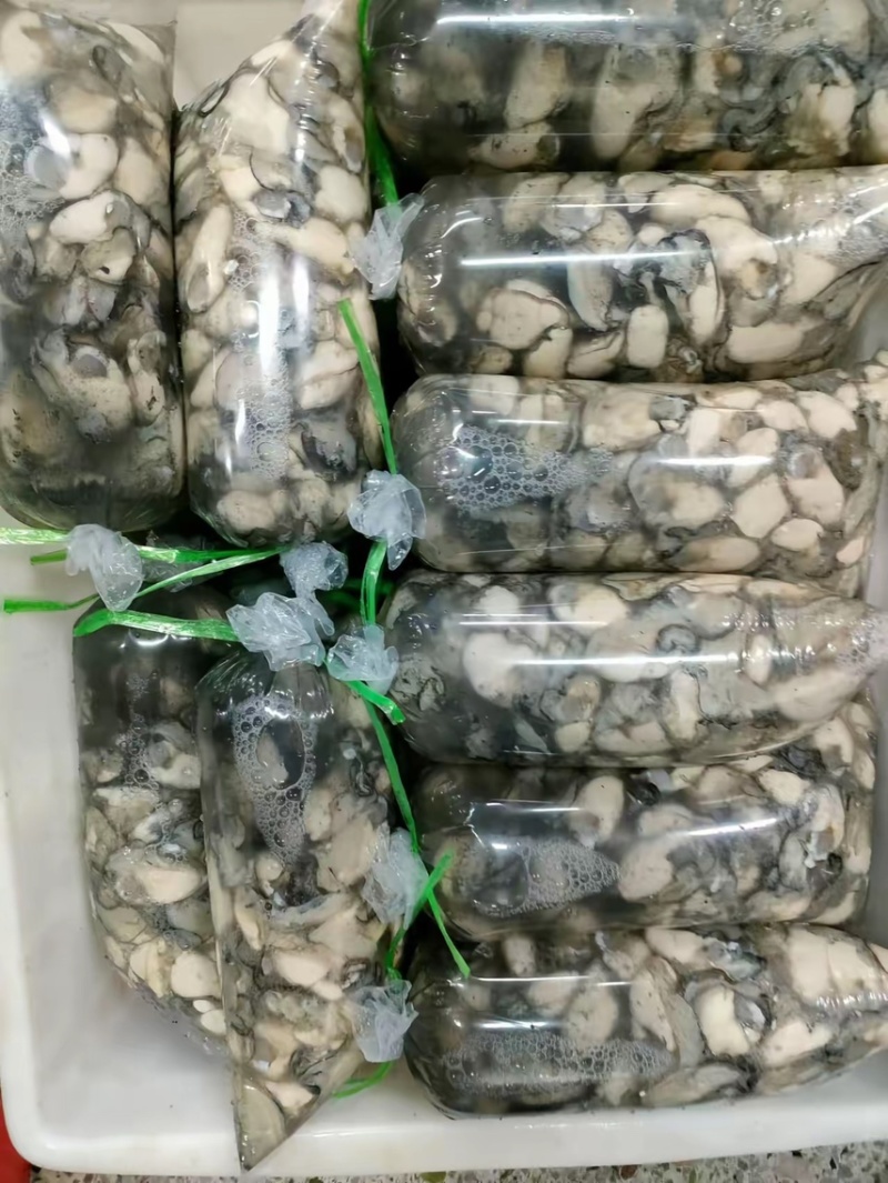 生蚝肉批发，