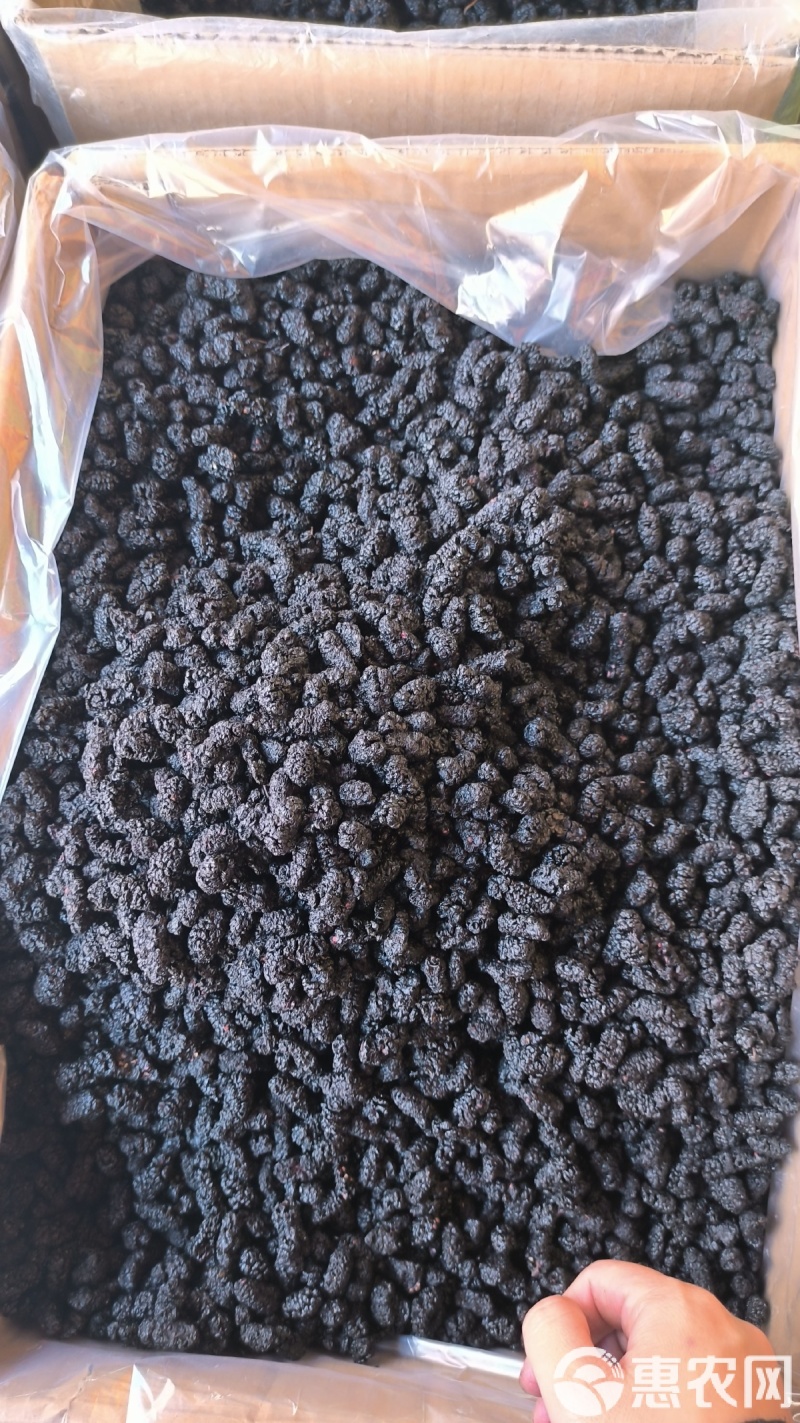 桑葚干