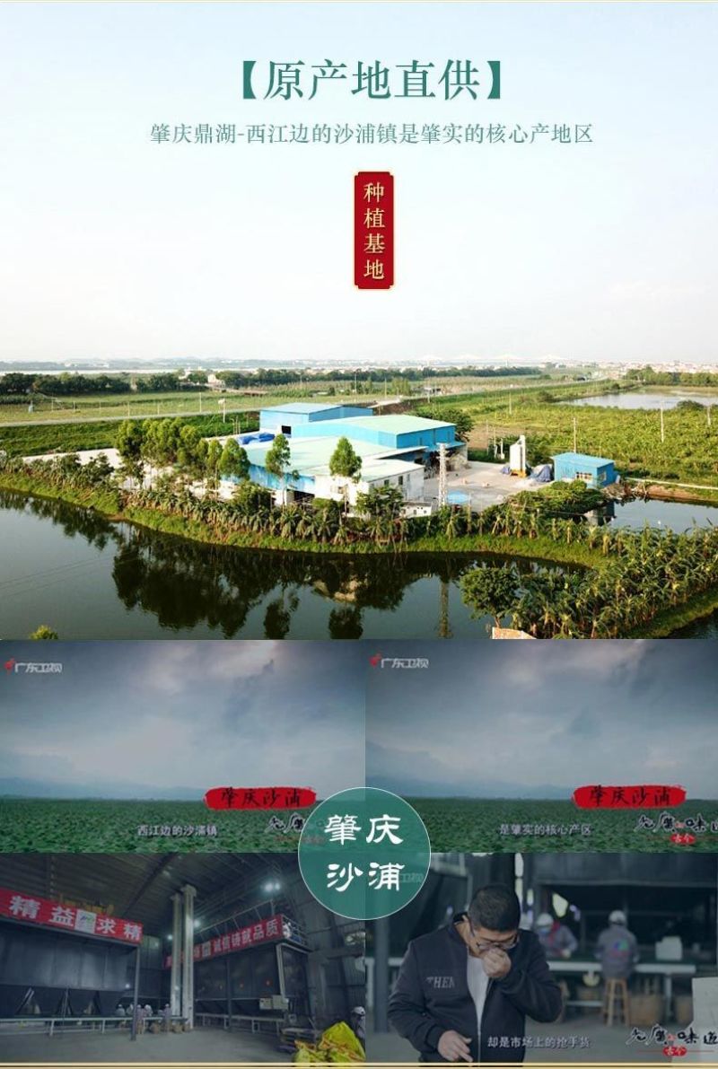 包邮）芡实干货正宗红皮广东肇实欠实生鸡头米新货批发茨实