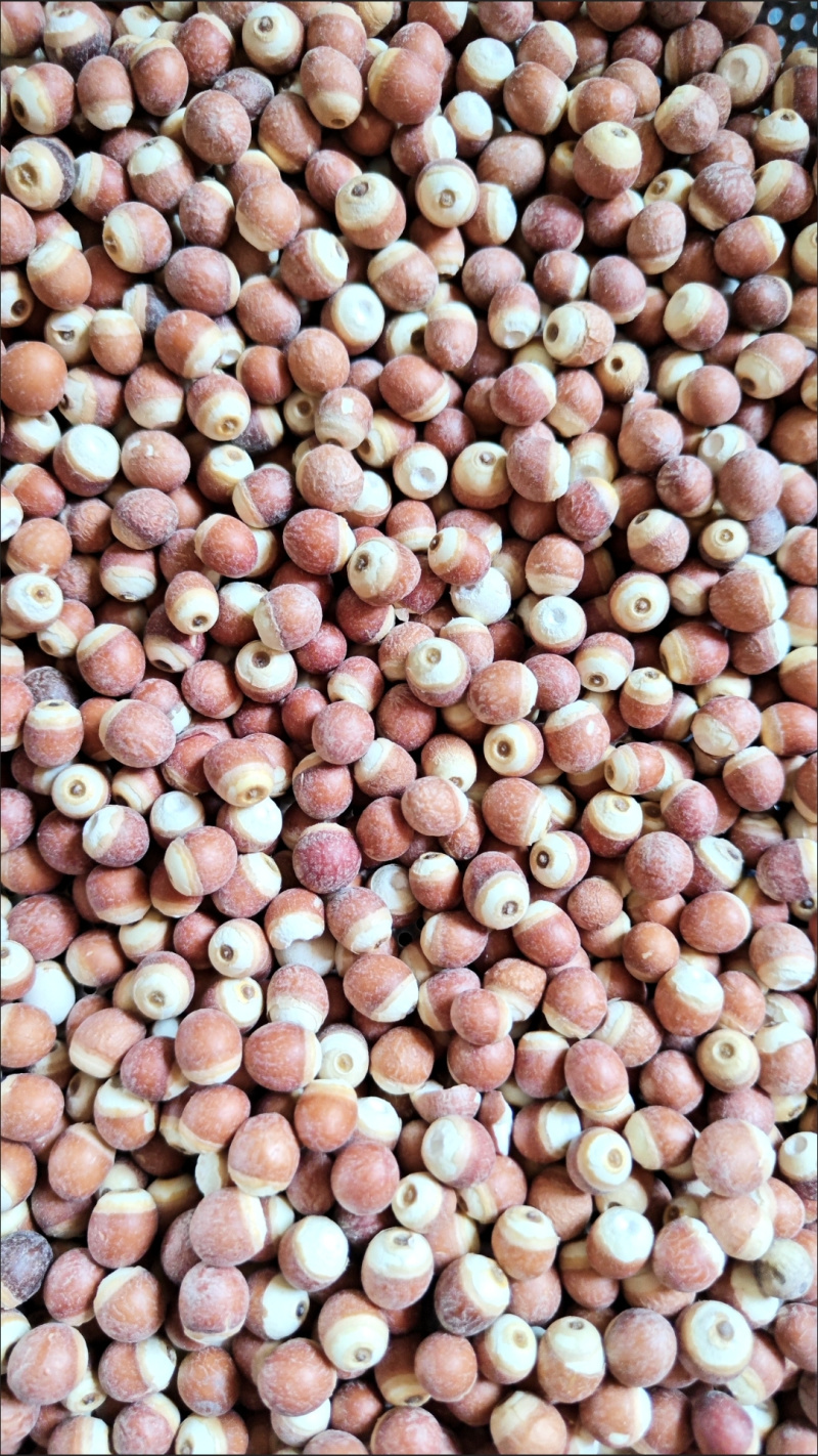 包邮）芡实干货正宗红皮广东肇实欠实生鸡头米新货批发茨实
