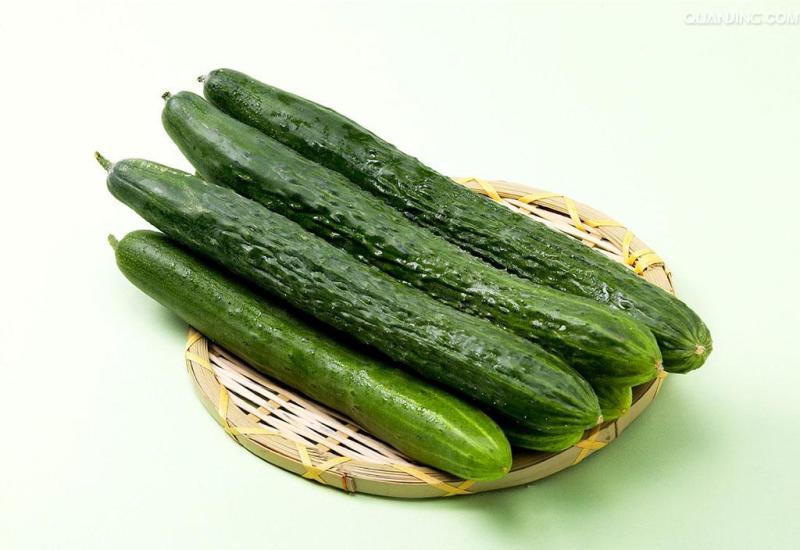 聊城莘县万亩蔬菜大棚各种瓜果齐全