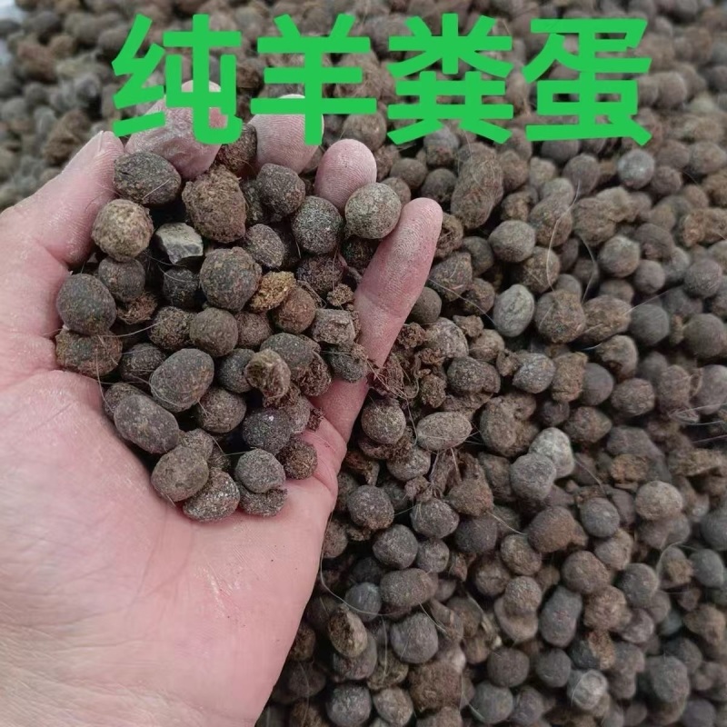 纯羊粪，颗粒羊粪，货源产地，大量批发，走货保定地区