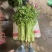 好货推荐精品香芹一手货源全国发货可视频看货