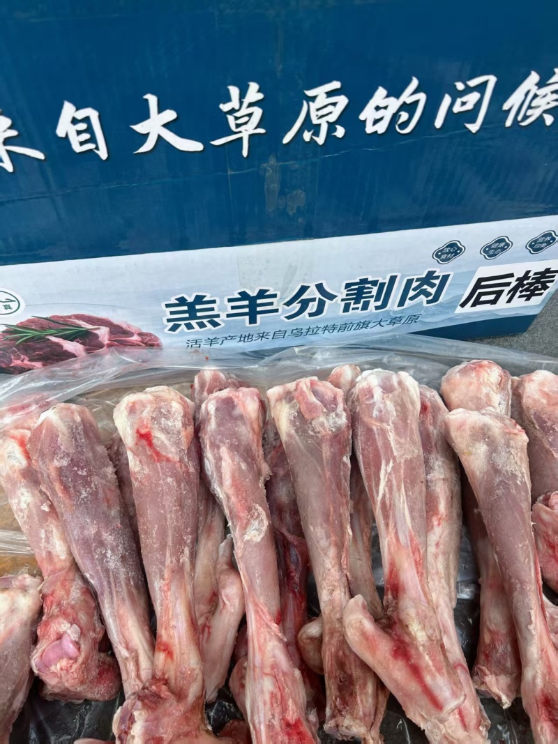 羊后金刚带拐筋