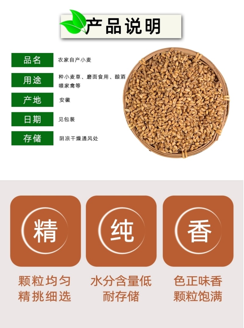 包邮）2024年新麦子皖北带皮小麦粒小麦酿酒喂鸽子鸟粮