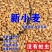 包邮）2024年新麦子皖北带皮小麦粒小麦酿酒喂鸽子鸟粮