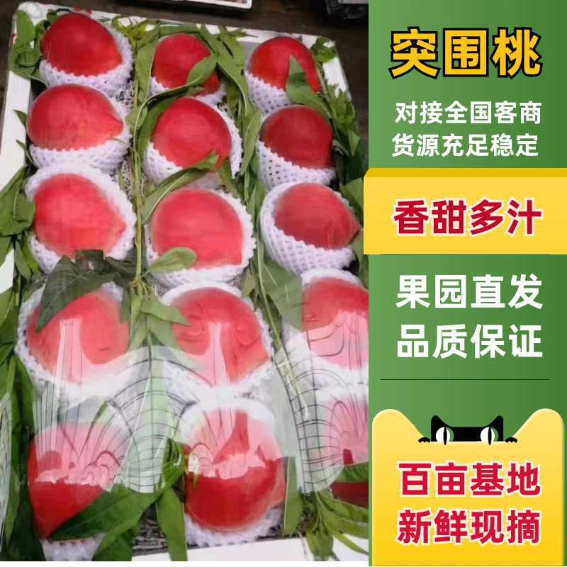 突围桃，大量上市，品质保证，价廉质优，产低直发