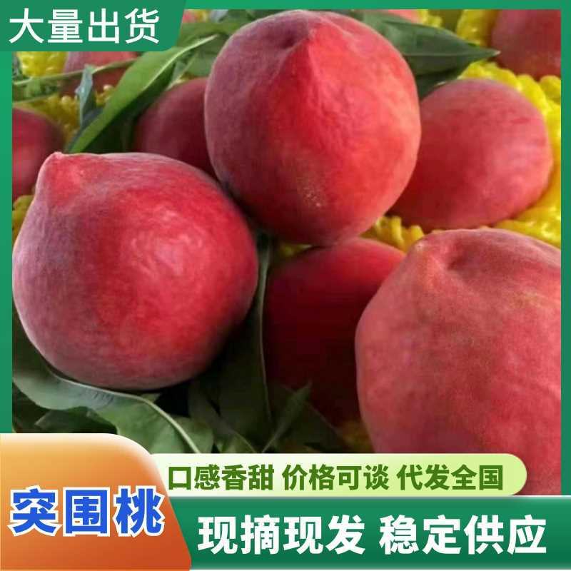 突围桃，大量上市，品质保证，价廉质优，产低直发