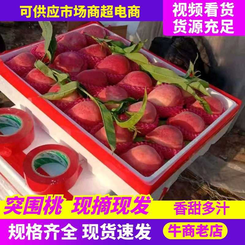 突围桃，大量上市，品质保证，价廉质优，产低直发