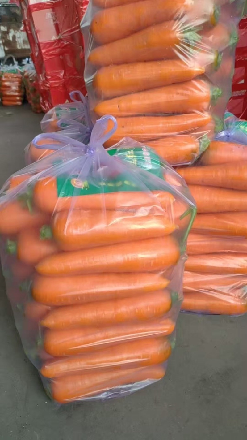 潍坊胡萝卜精品胡萝卜大量供应产地直发提供一条龙服务