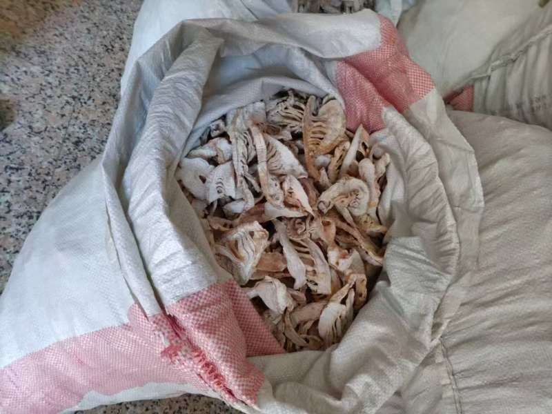 【实力供货】毛笋干笋干品质保证果芝然商贸欢迎如您共赢