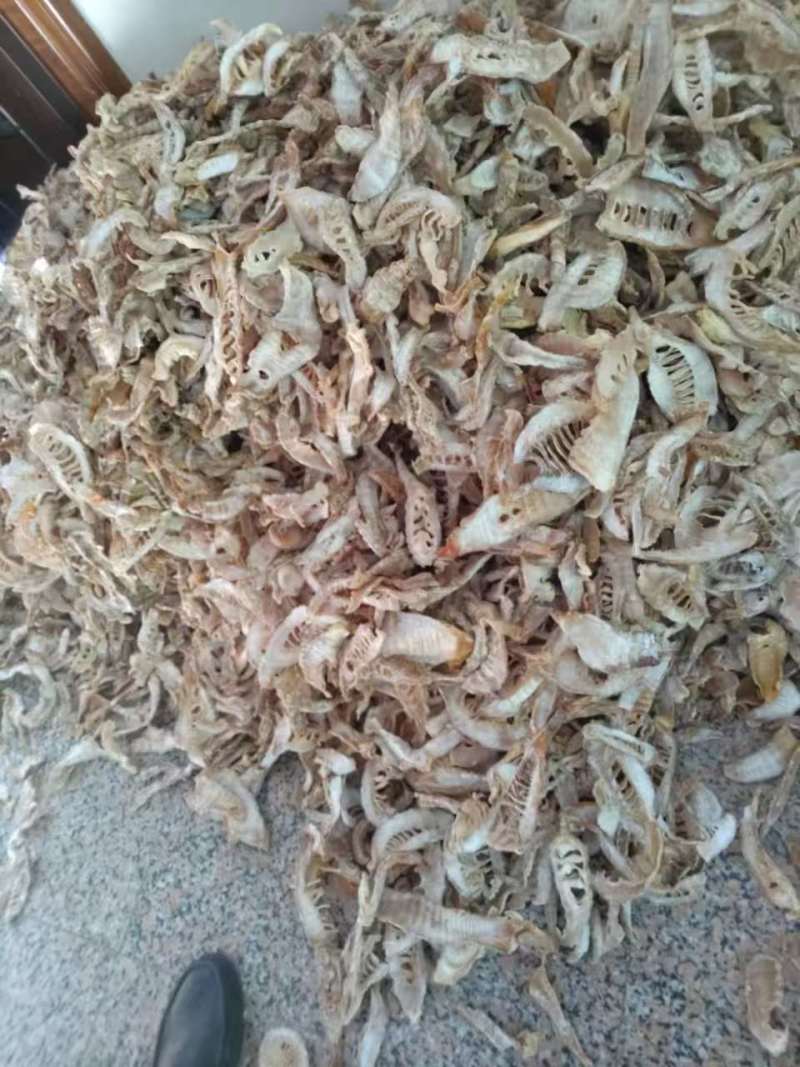 【实力供货】毛笋干笋干品质保证果芝然商贸欢迎如您共赢