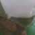 发酵过后的菜籽饼肥