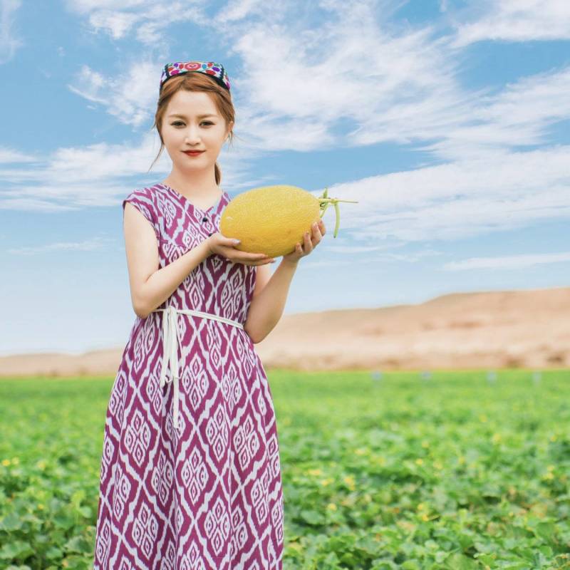 哈密精品哈密瓜【地标、绿色、有机三重品质认证】