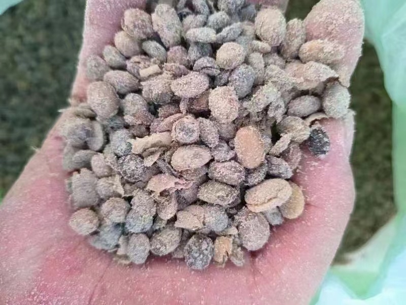 益生菌发酵大豆，生物有机肥，纯黄豆发酵，瓜果蔬菜通用