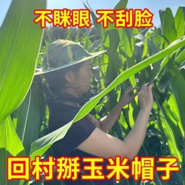 农村玉米地干活专用帽子防护帽防虫防迷眼防刮脸掰玉米苞