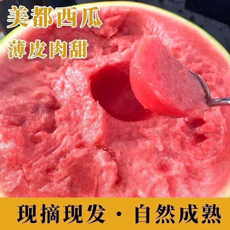 【实力代办】河南美都西瓜可代发全国，甜度高耐运输