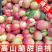 【推荐】陕西油桃产地货源全国代发可视频看货欢迎致电
