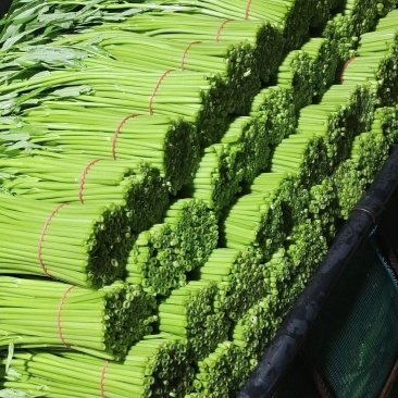 精品头刀：空心菜