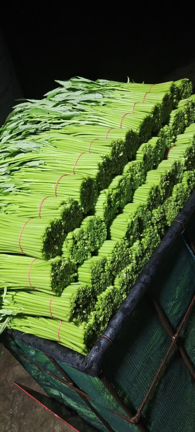 精品头刀：空心菜