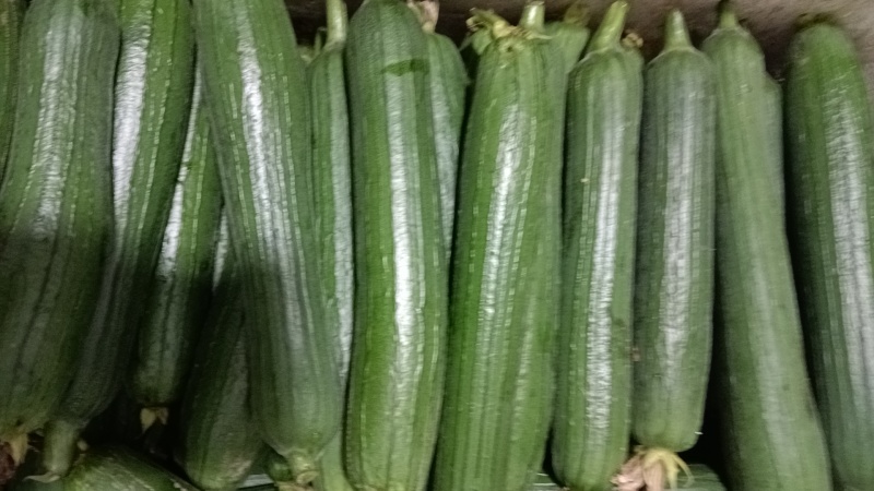 常州香丝瓜