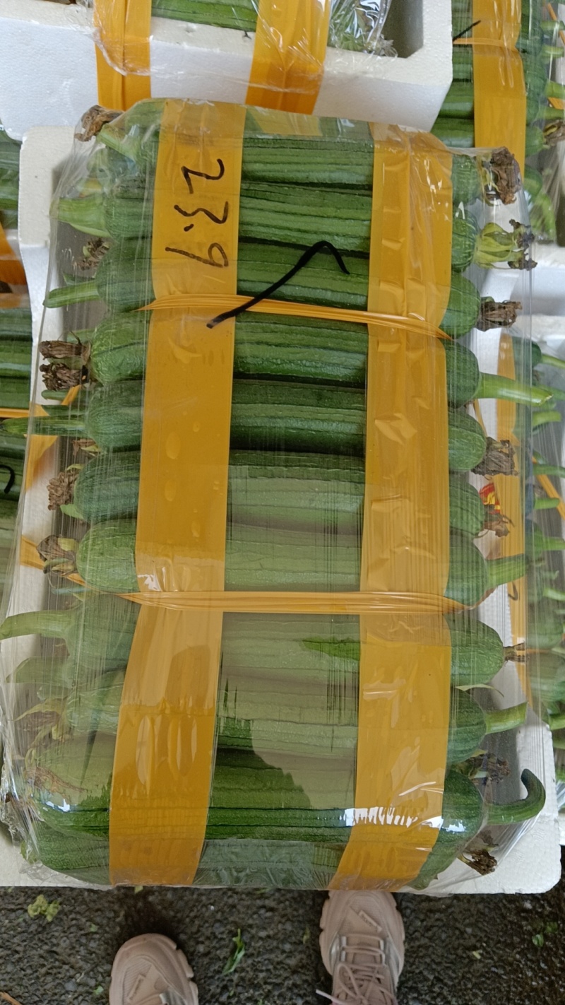 常州香丝瓜