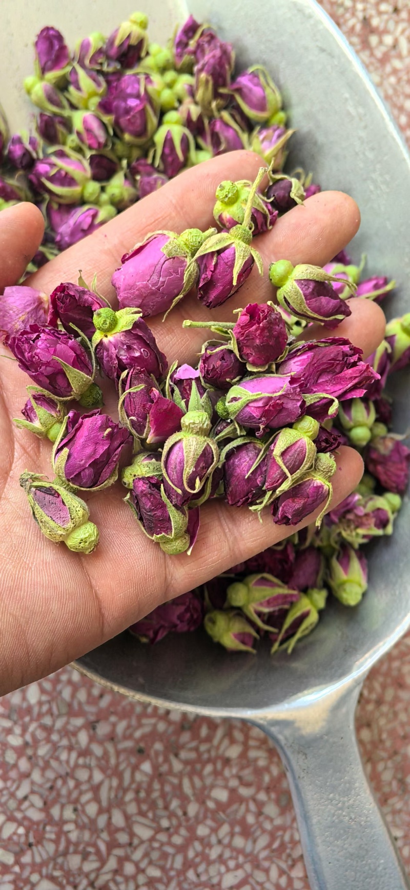 玫瑰花平阴玫瑰玫瑰王两种干货无硫量大优惠