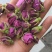 玫瑰花平阴玫瑰玫瑰王两种干货无硫量大优惠