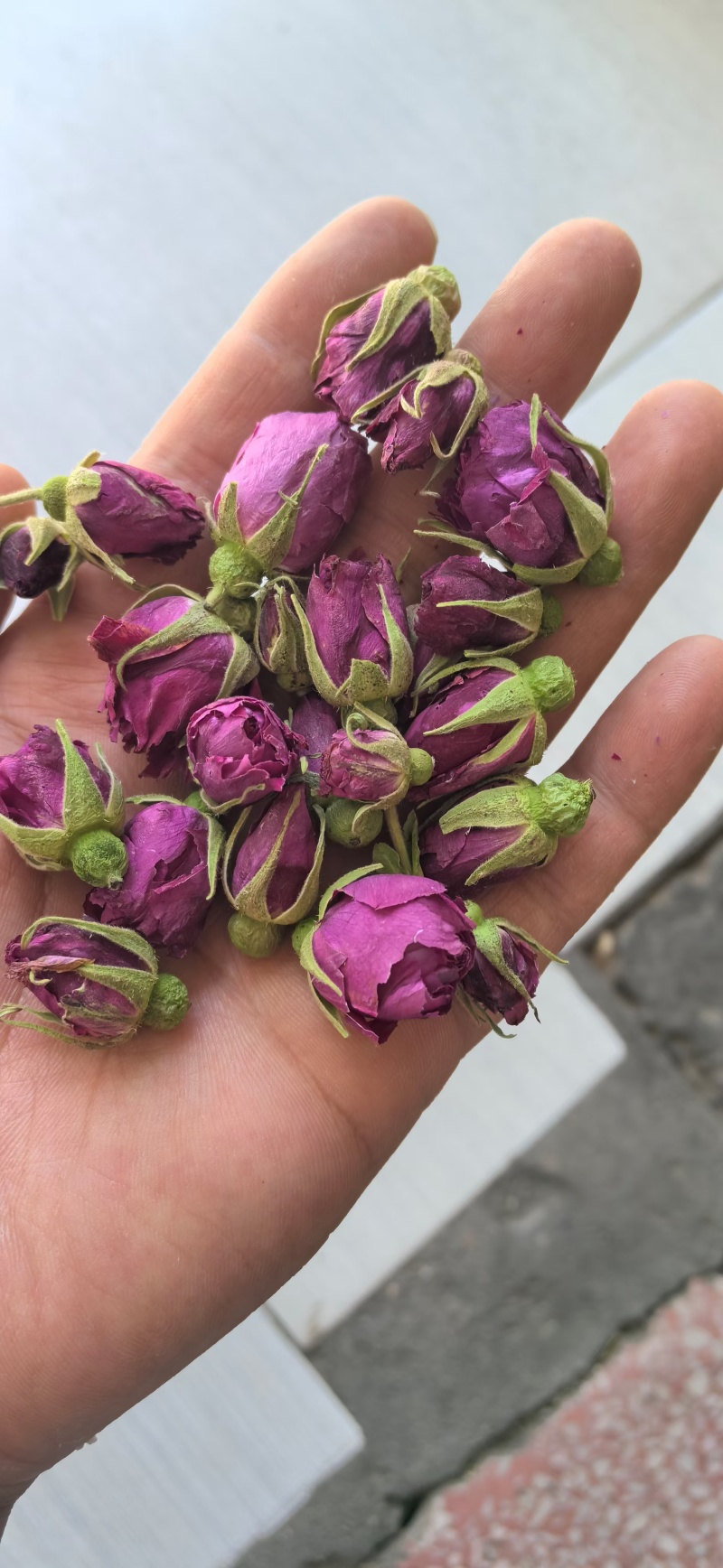 玫瑰花平阴玫瑰玫瑰王两种干货无硫量大优惠