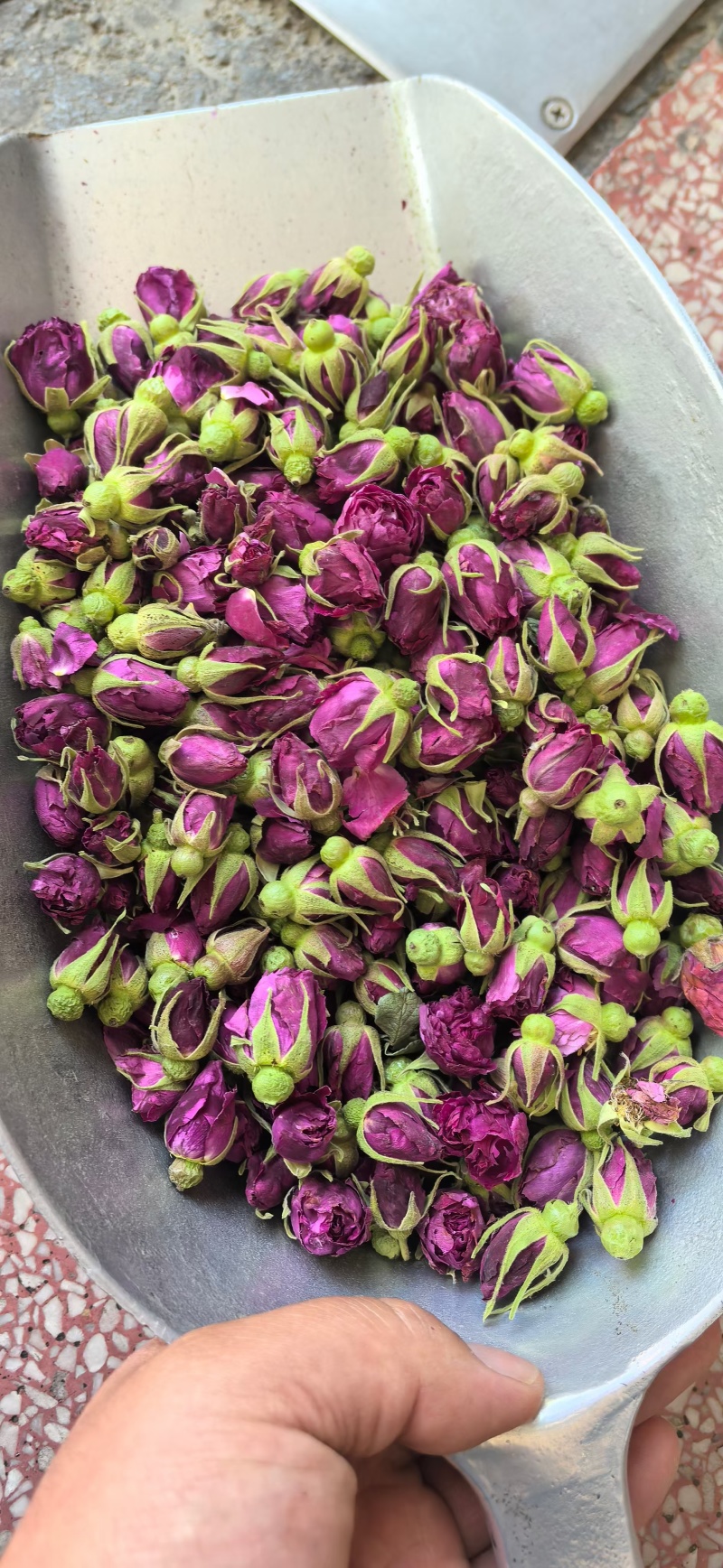 玫瑰花平阴玫瑰玫瑰王两种干货无硫量大优惠