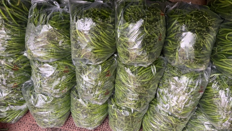 薄皮二荆条辣椒