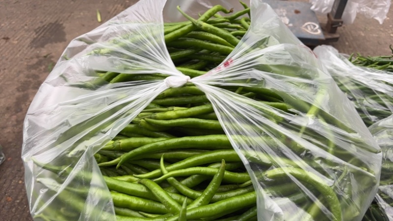 薄皮二荆条辣椒